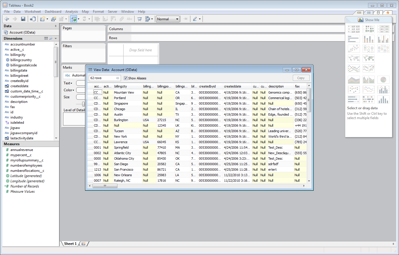 A grid of data in Tableau.(Salesforce is shown.)