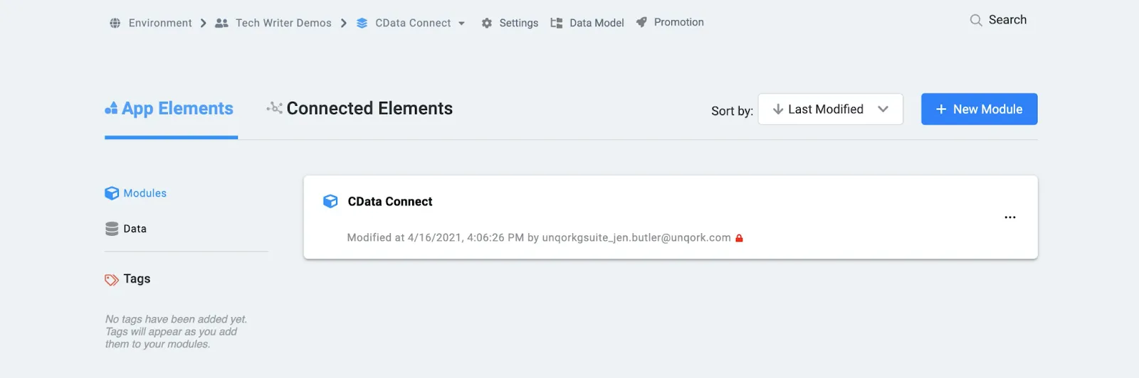 新しいアプリケーションのModule タブ。