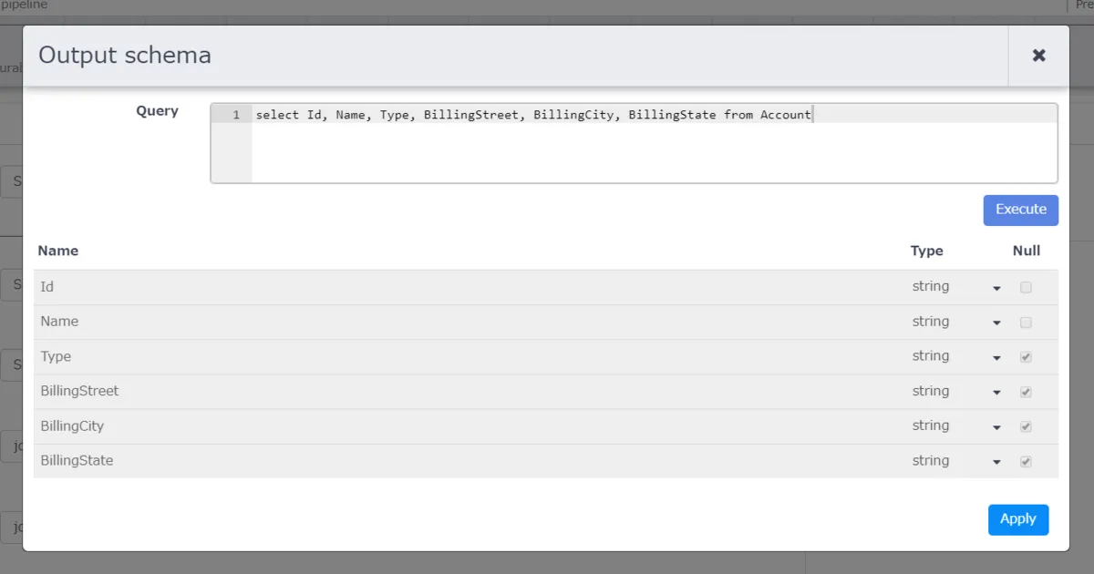 Output schema 設定