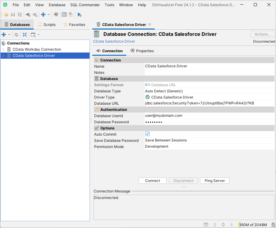新しく設定されたデータベース接続（Salesforce の場合）。