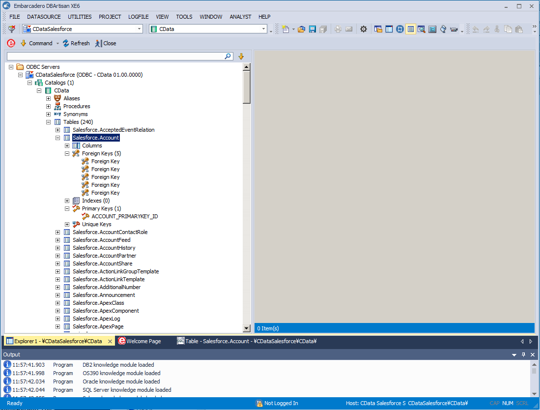 The Datasource Explorer. (Salesforce is shown.)