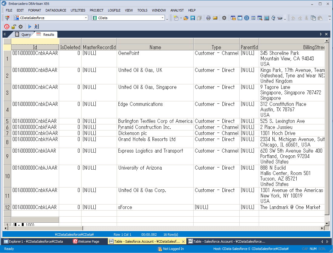 The results of a query. (Salesforce is shown.)