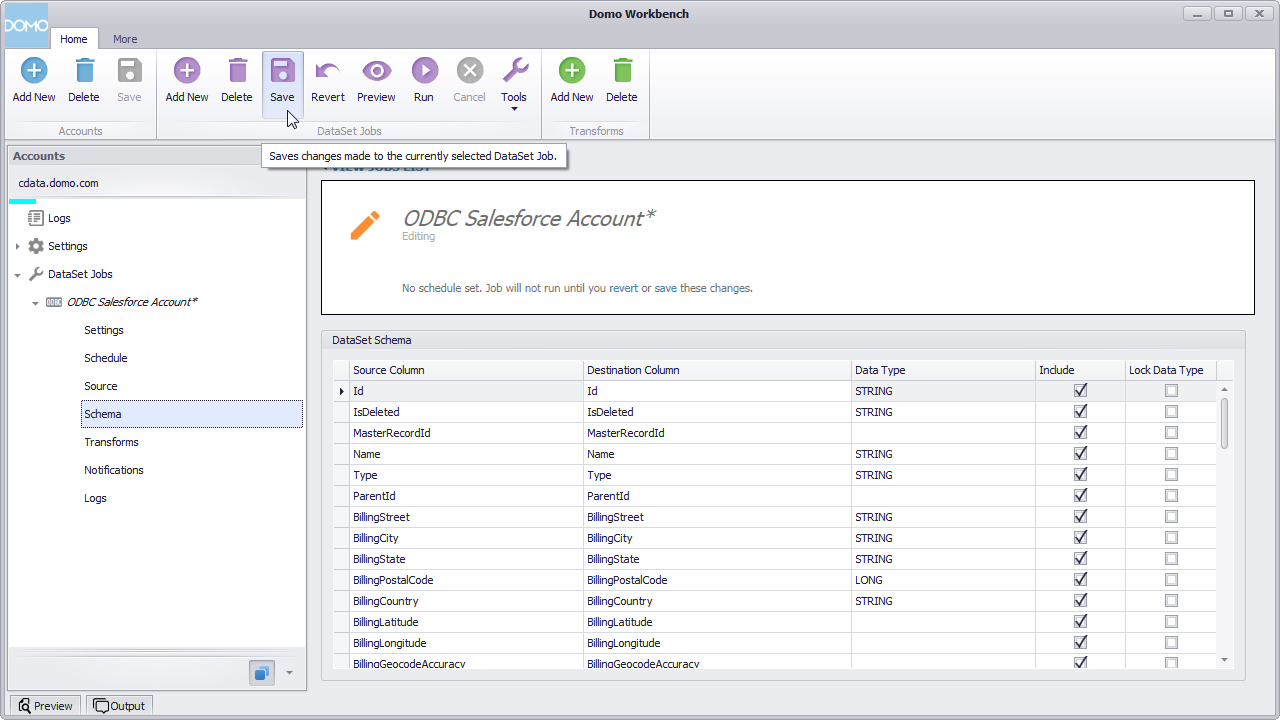 Save and Run the Configured DataSet Job (Salesforce is shown).