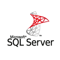SQL Server Logo